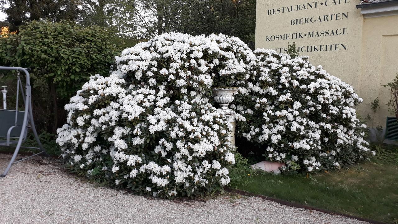Hotel Quellenpark Bad Elster Dış mekan fotoğraf